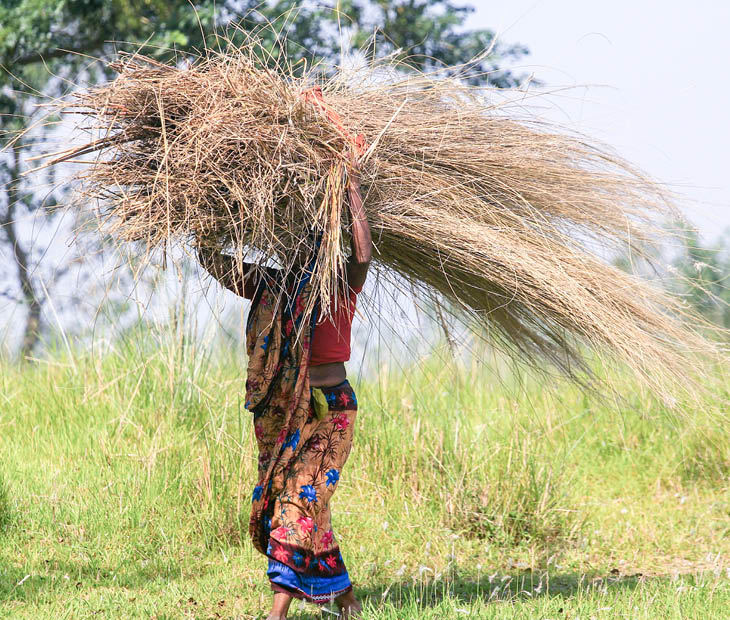 SouthAsia-Rural Income